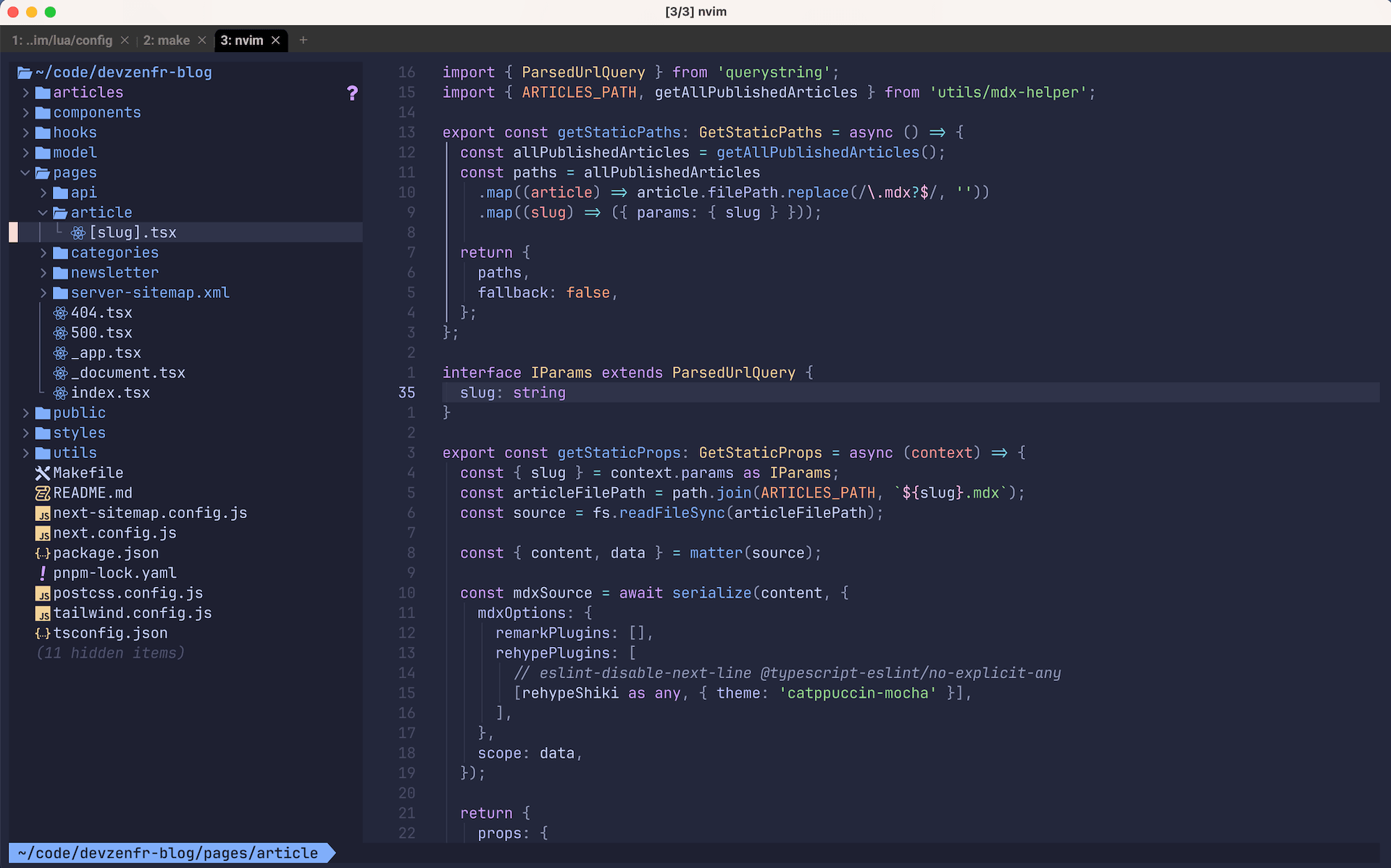 Capture d'écran d'un terminal avec Neovim d'ouvert sur le projet contenant le code de ce blog